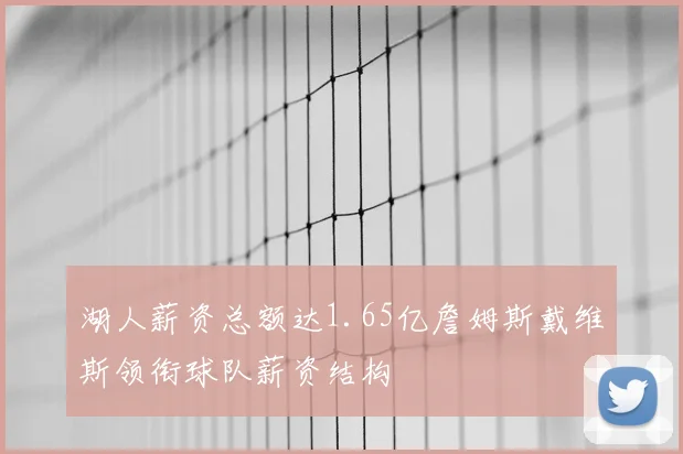 湖人薪资总额达1.65亿詹姆斯戴维斯领衔球队薪资结构