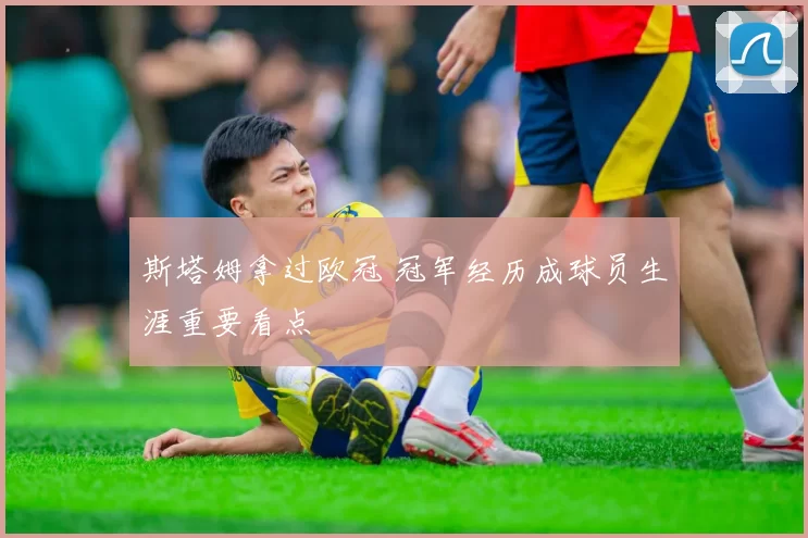 斯塔姆拿过欧冠 冠军经历成球员生涯重要看点