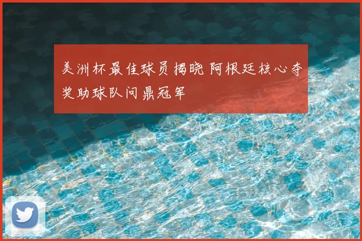 美洲杯最佳球员揭晓 阿根廷核心夺奖助球队问鼎冠军